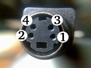300px-Close-up_of_S-video_female_connector