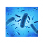 What is Antimicrobial Technology?